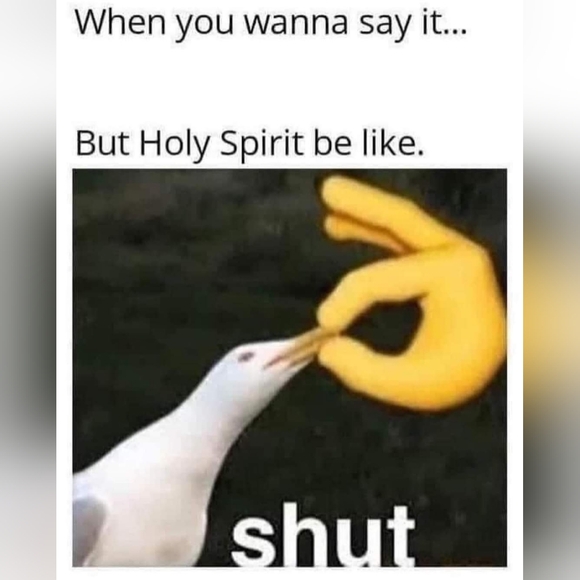 Meet your Posher, Erin - Picture 10 of 16